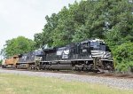 NS 1205 leads train 64D northbound